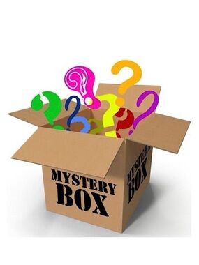 Vintage TR Bentley Not-So-Mystery Mystery Box Medium, Large, Size 13/14